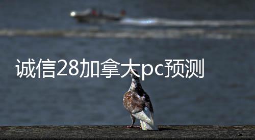 诚信28加拿大pc预测准确率100%网站（canada28预测28开奖网站刮奖账）