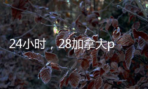 24小时，28加拿大pc预测准确率100%网站回服务轻松实现！